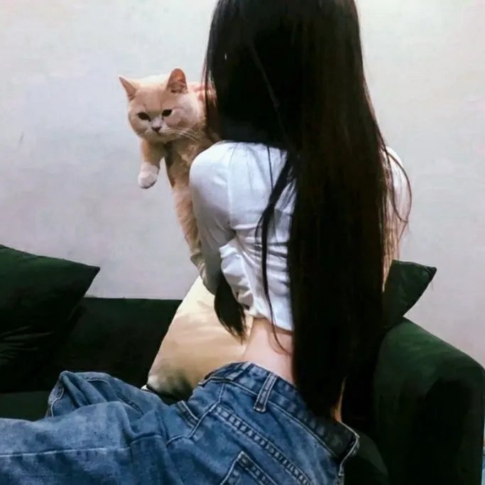泰山大战女猎人
